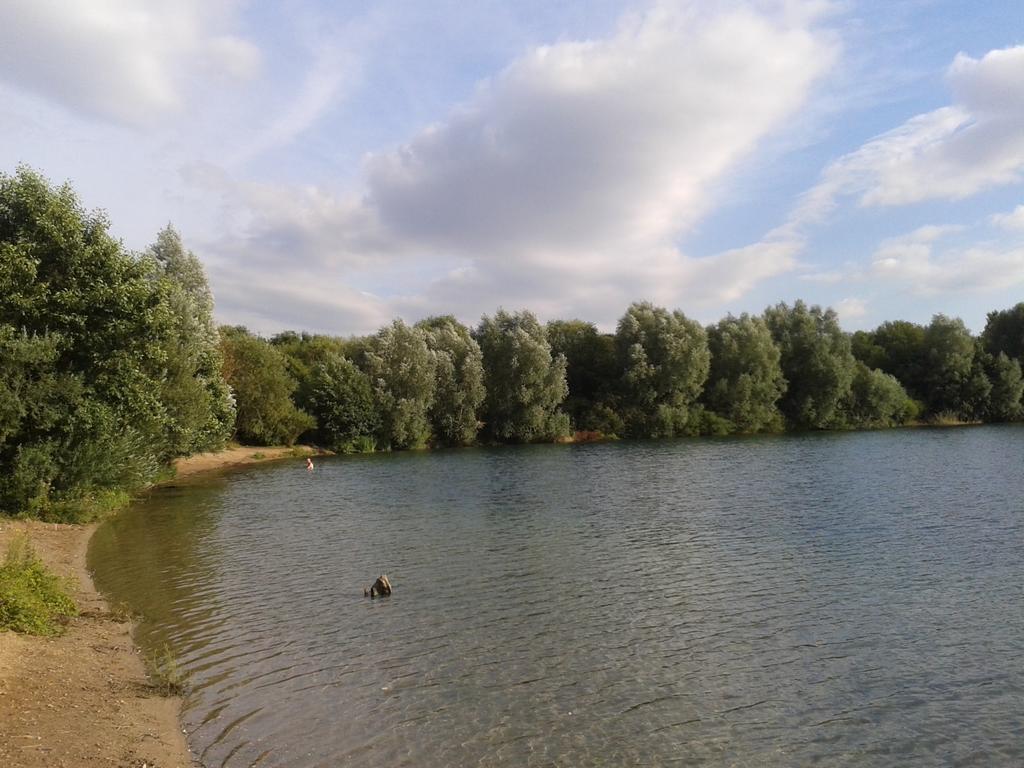 B&B Am See Koeln - Privatzimmer Kamer foto