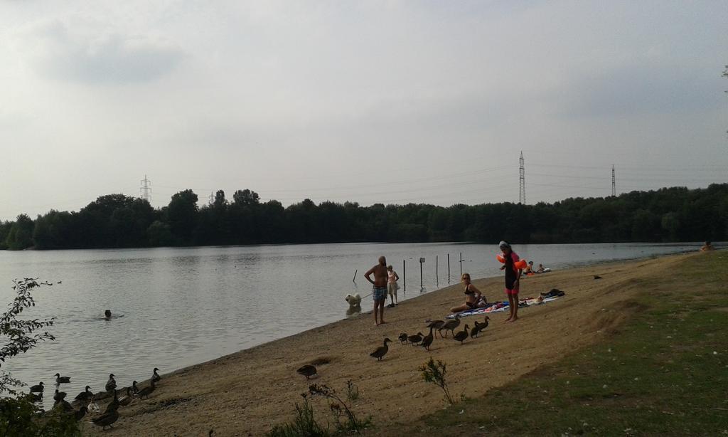 B&B Am See Koeln - Privatzimmer Buitenkant foto